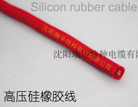 �߉������z��